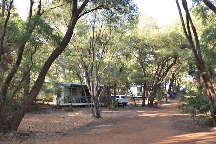 Coalmine Beach Holiday Park photo 3