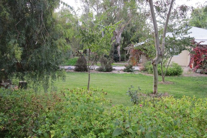 Amys House photo 4