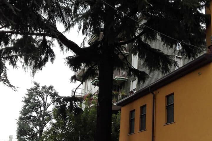Residence Il Pino photo 2