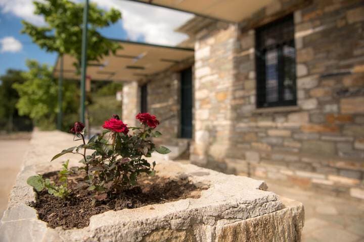 Pelion Goddess Villas photo 3