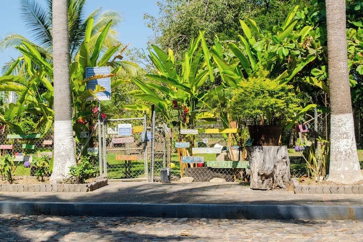 Puerto de Luna Pet Friendly & Family Suites Hotel photo 3