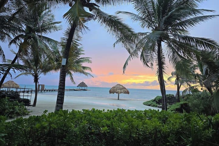 Xanadu Island Resort photo 3