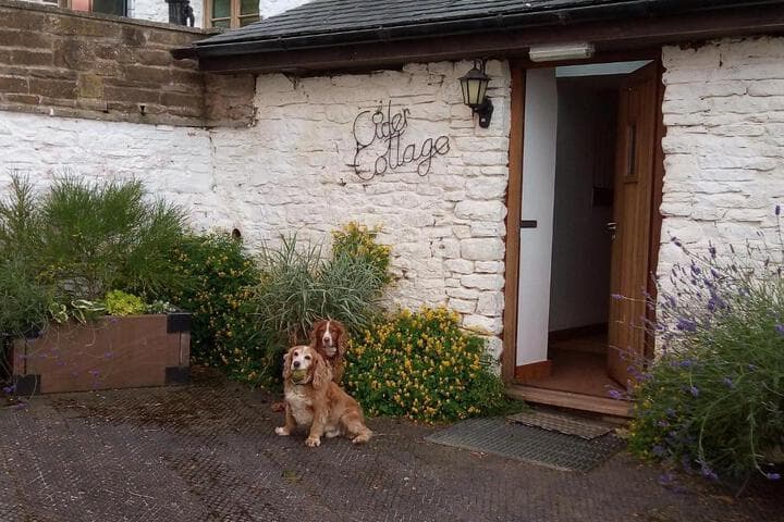 Thatch Close Cottages photo 2