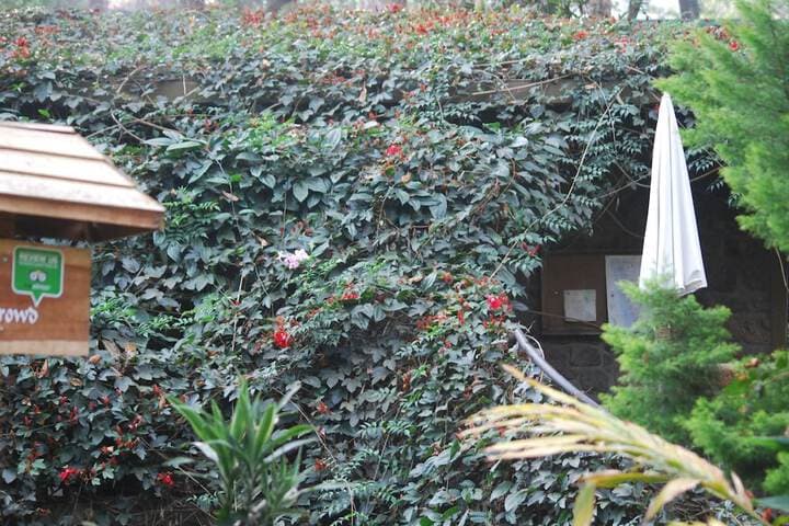 Green Spaces Munnar photo 4