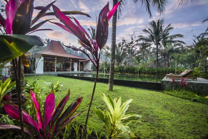 Melaya Estate photo 2