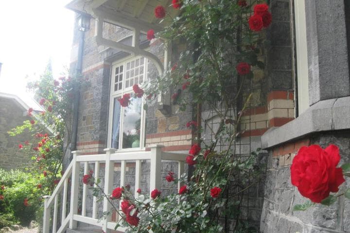 Villa Belle Epoque photo 2