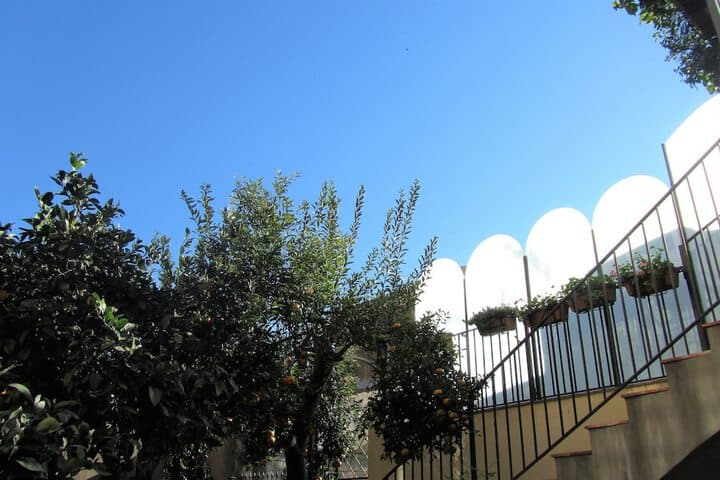La Corte dei Limoni photo 3