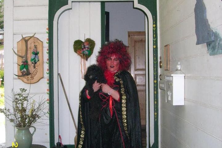 Villa Regina photo 2