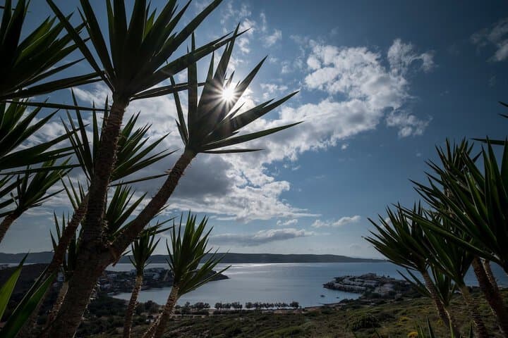 Sounio Villa photo 3