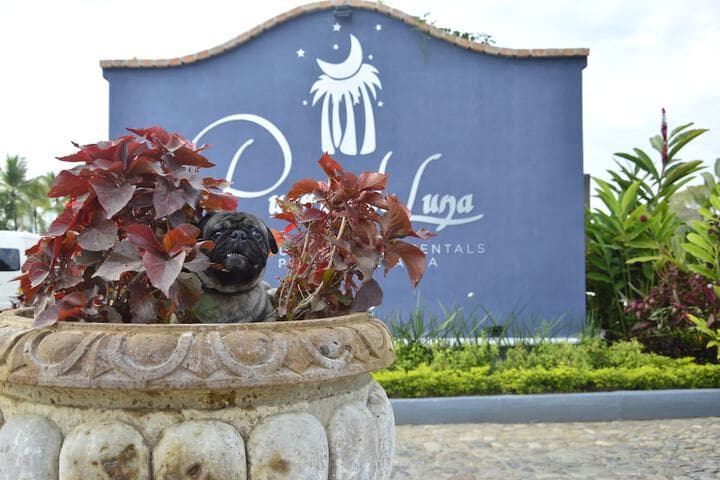 Puerto de Luna Pet Friendly & Family Suites Hotel photo 5