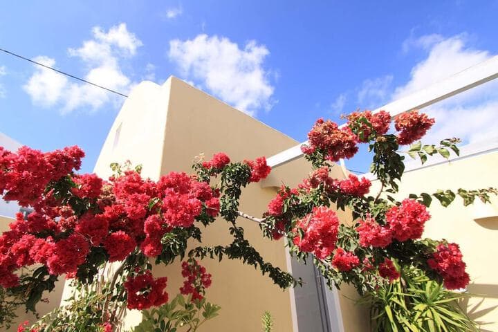 Ersi Villas photo 5
