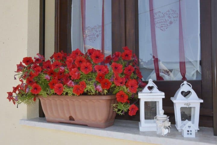 La Casa al Centro photo 5