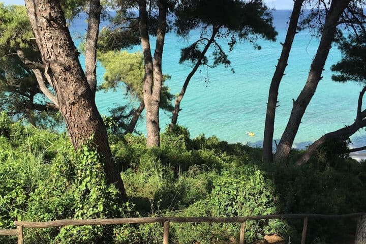 Petra Mare Villas photo 4