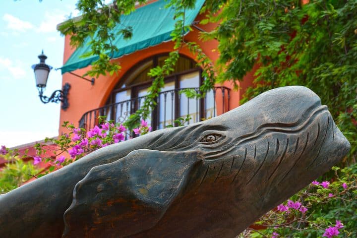 Collection O Casa Bella Hotel Boutique Cabo San Lucas photo 3
