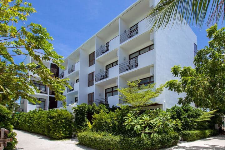 Plumeria Maldives photo 4