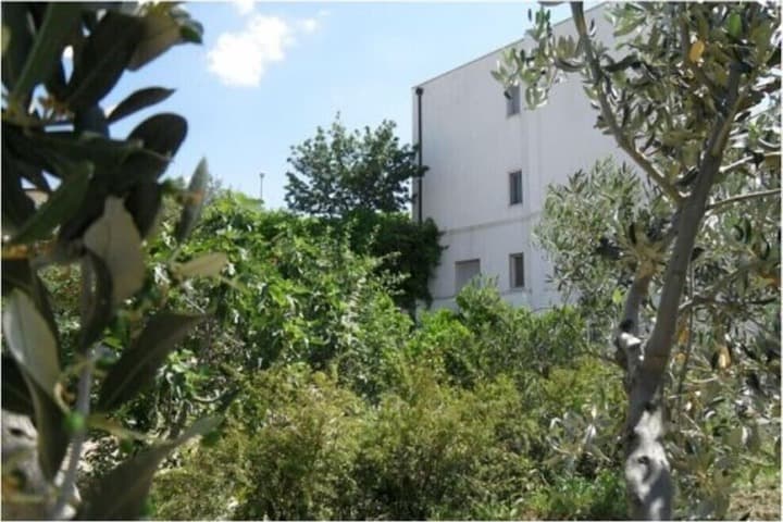 Le Sorbole photo 3