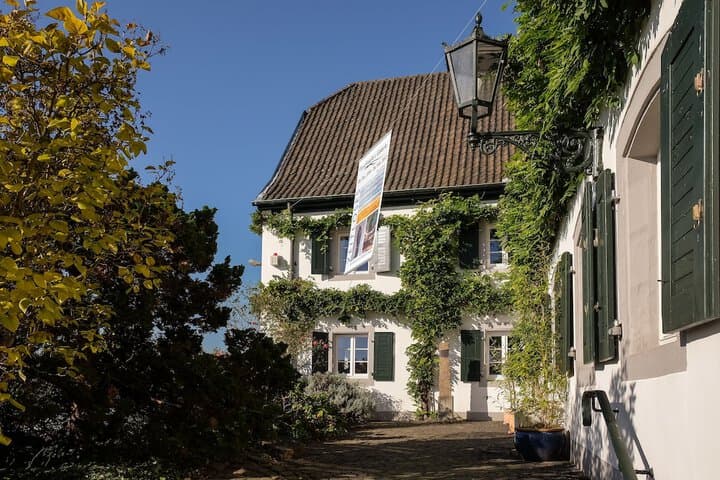 RheinRiver Guesthouse Direkt am Rhein photo 2