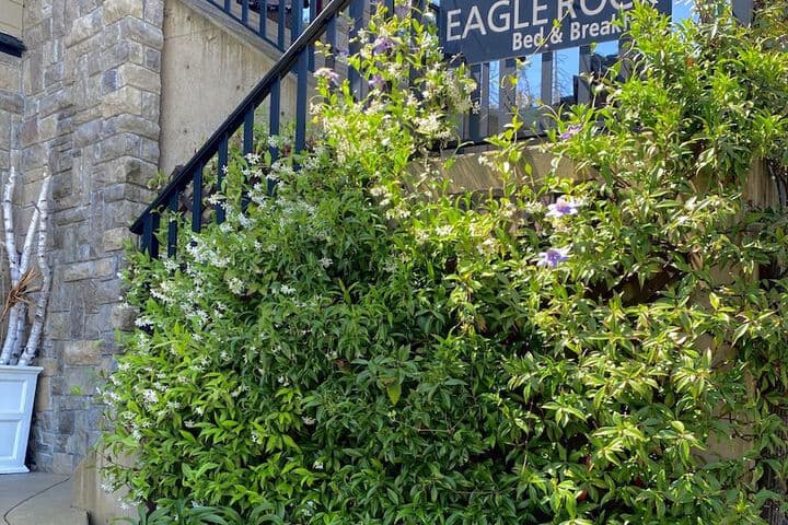 Eagle Rock Bed&Breakfast photo 3