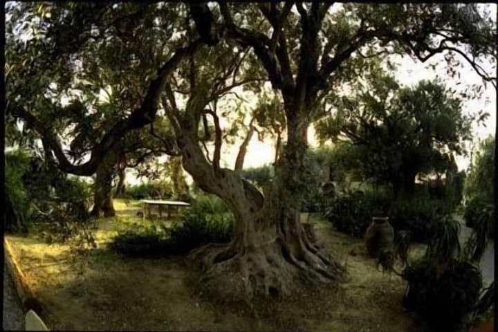 Casa Migliaca photo 5