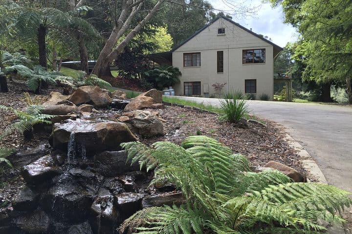 Toorongo River Sanctuary photo 2