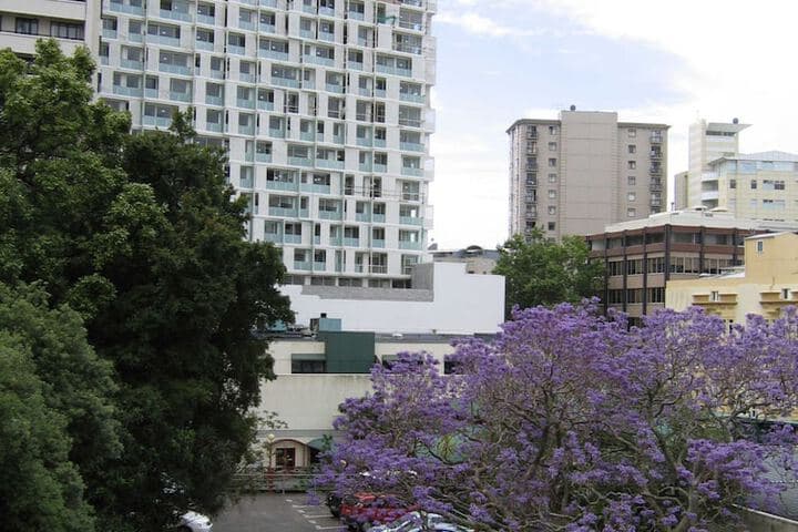 Braemar on Parliament Street photo 3