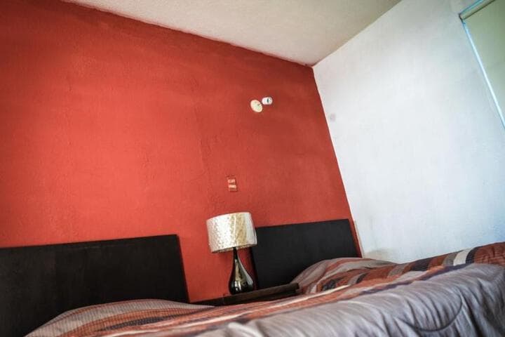 Econosuites Monterrey photo 3