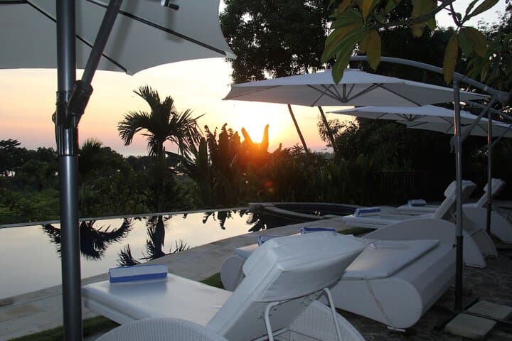 Villa Lilly photo 5