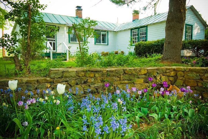 Briar Patch Bed & Breakfast Inn photo 5