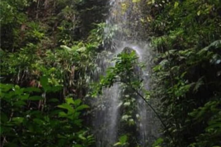 Hibiscus Valley Inn photo 2