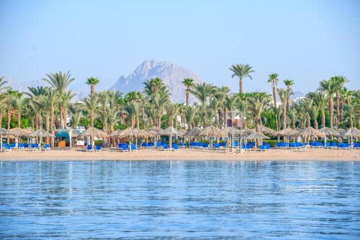 Sharm Dreams Resort photo 2