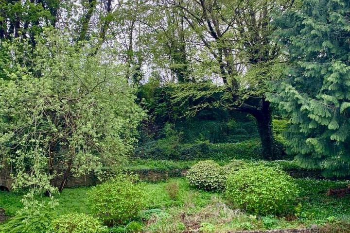 Bowlish House photo 3