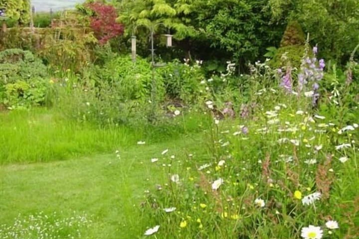 Thorpe Green House Vegetarian Bed&Breakfast photo 3