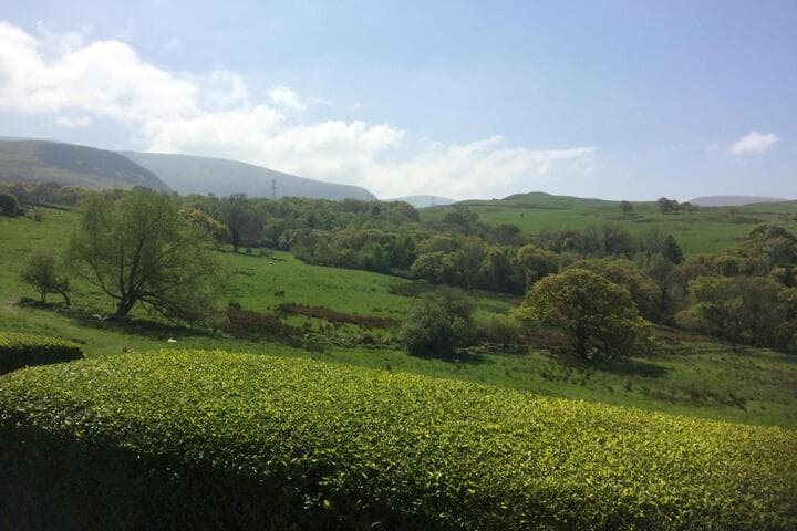Rhiwiau Guesthouse photo 3