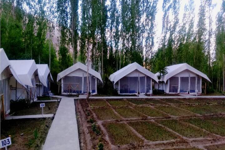TIH Mystique Meadows Camp photo 4