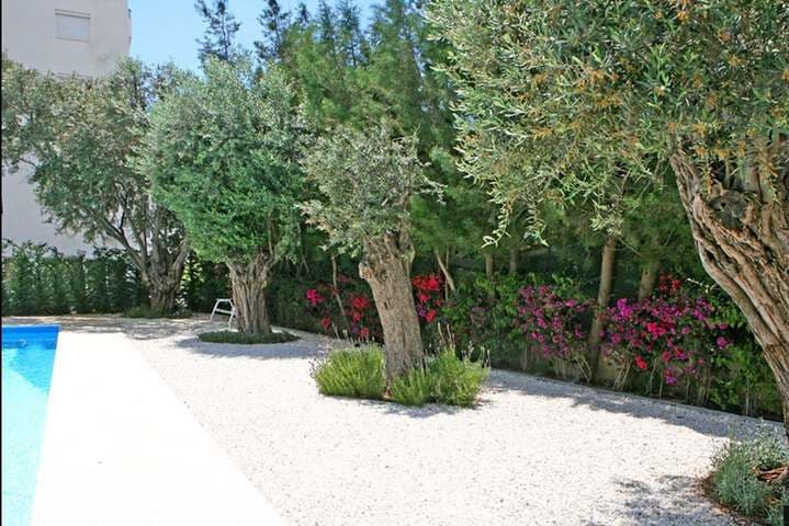 Corina Suites&Apartments photo 4