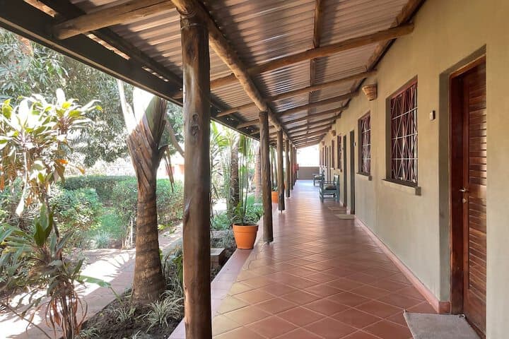 Olgas the Italian Corner photo 3