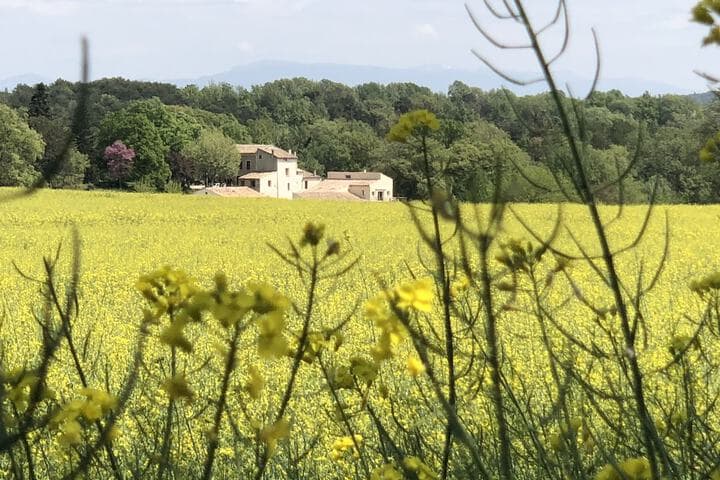 Forcalquier destination view