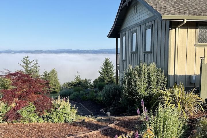 Bella Collina Bed & Breakfast photo 5
