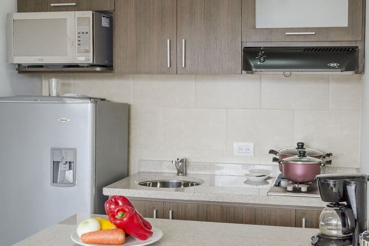 Apartamentos Regency La Feria photo 4