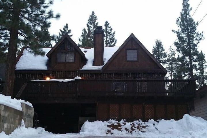 Viola Haven photo 2