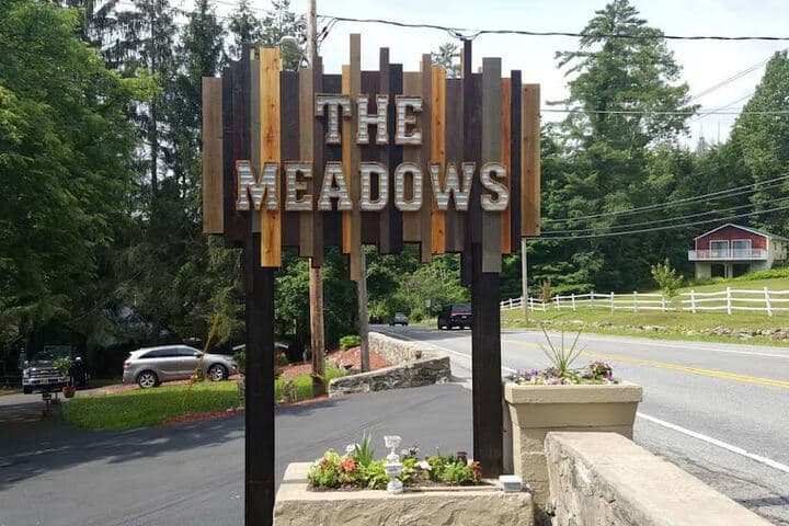 The Meadows photo 5