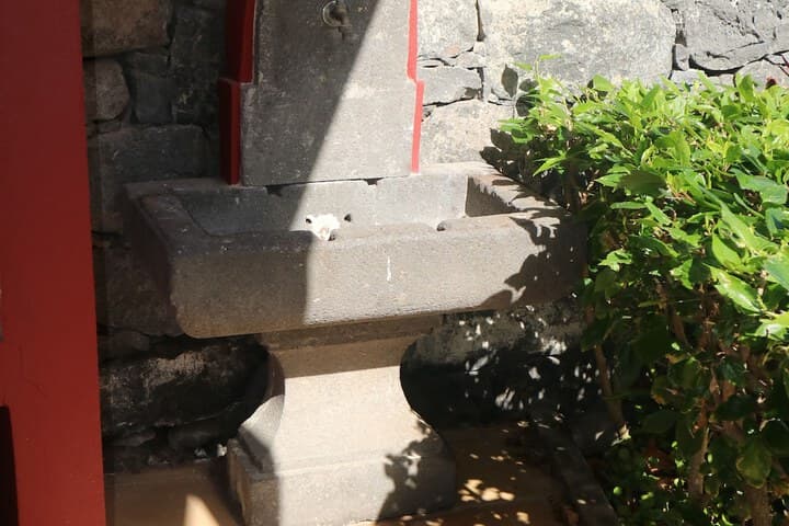 Casa da Capelinha photo 4