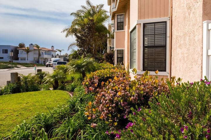 Channel Island Shores photo 4
