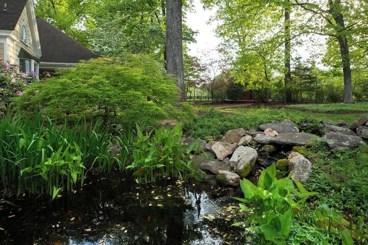 Foxfield Inn photo 4