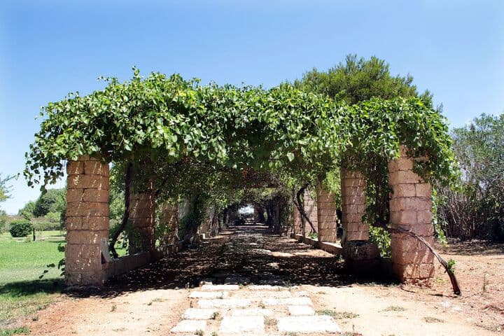 Masseria Cristo photo 3
