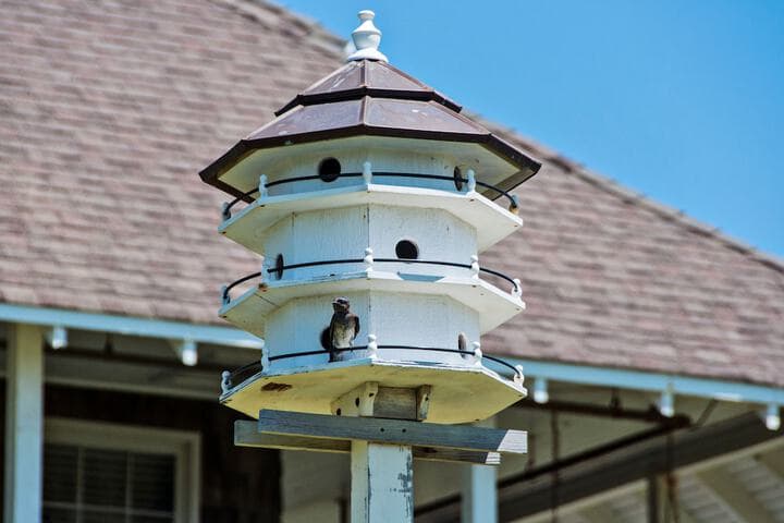 The First Colony Inn photo 2