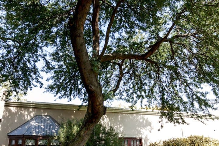 Town&Country Guest House photo 3
