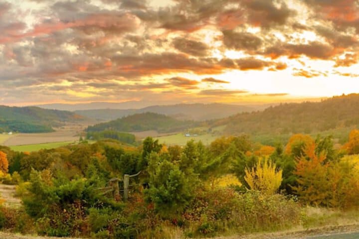 Youngberg Hill photo 3