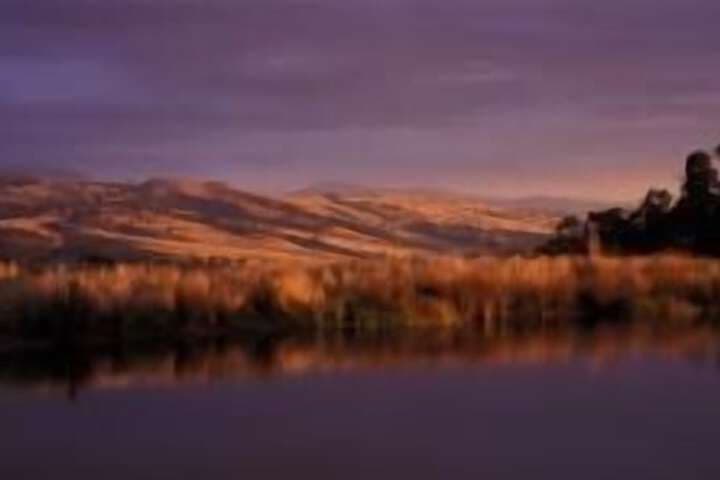 Wombat Hills Cottages photo 3