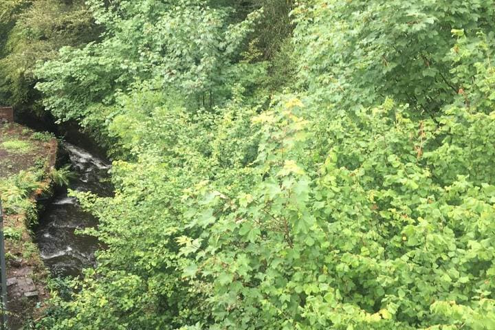 Glencree photo 2